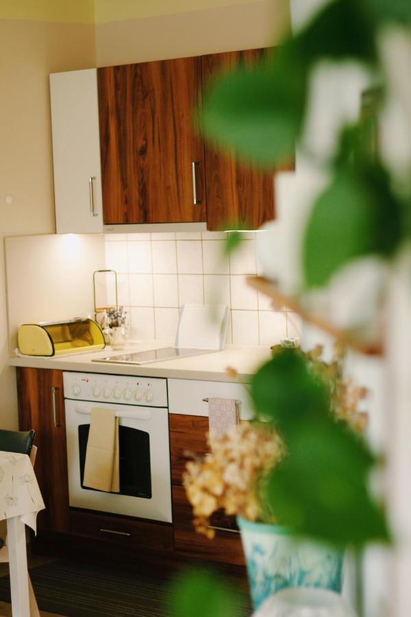 Sušice Apartman "Pod Rokem" מראה חיצוני תמונה